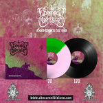 Dimmu Bongir - Hvis pipen tar oss - 12" LP