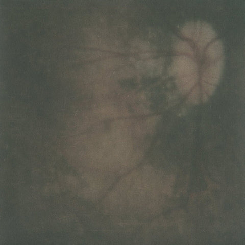 Pale Spektre - Bereft of Xerotic Layers - Cassette