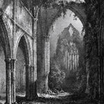 WEATHERED CREST - Blossoming of the Paths - CD