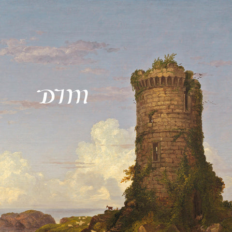 DIM - Compendium I - 12" LP