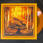 FIEF - V - 12" LP