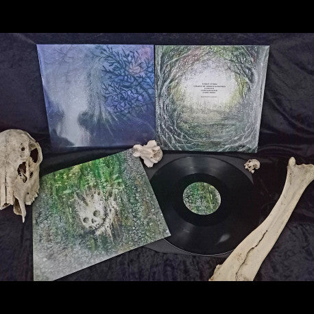 Tetrasigil - Forest Storm - 12" LP